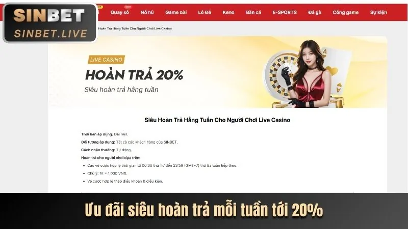 Cá cược thể thao đa dạng tại hot51live